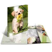Herma Sammelmappe Eckspanner PP A3 Glossy Hunde