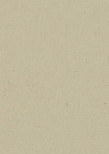 HEYDA 204720196 Tonkarton A4 braungrau natur