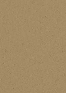 HEYDA 204720197 Tonkarton A4 braun natur
