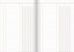 RNK Spaltenbuch A5 60S rot/grau liniert