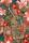 RNK Notizbuch Tropical Paradise liniert 64 Seiten 8x13cm