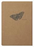 Clairefontaine Flying S. Nbuch braun lin A5 48Bl
