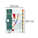 Exacompta Regist31T A4 mani+ bedrfarbigTab