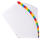 Exacompta Regist31T A4 mani+ bedrfarbigTab