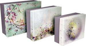 Clairefontaine Chacha 4 Set 3 Boxen rechteckig