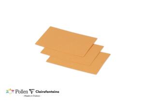 Clairefontaine Karte Mini 70x95 Pollen clementine