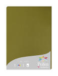 Clairefontaine Papier A4 Pollen 160g 50Bl alge