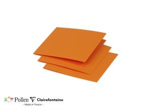 Clairefontaine Doppelkarte Pollen 116x116 Kapuzine