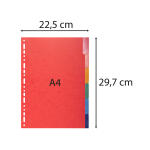 Exacompta Reg 6tlg A4 manila 225g+verst tabs