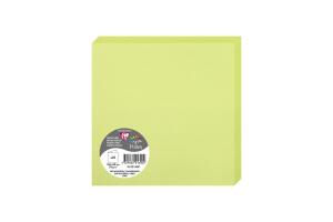 Clairefontaine Doppelkarte 160x160 knospengr