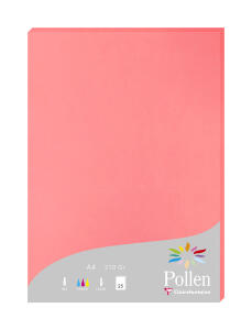 Clairefontaine Papier A4 Pollen 210g litschi 25 Bl