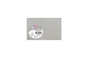 Clairefontaine 5 Karten Pollen 82x128 silber