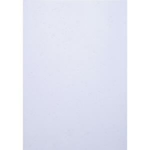Exacompta Karton Forever weiss A4 270G 25Bl