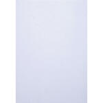 Exacompta Karton Forever weiss A4 270G 25Bl
