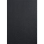 Exacompta Karton Forever schwarz A4 270G 25Bl
