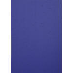 Exacompta Karton Forever blau A4 270G 25Bl