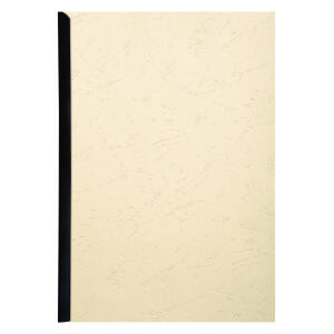 Exacompta Karton Forever elfenbein A4 270G 25Bl