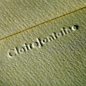 Clairefontaine Umschlag GdP 75x100 Melone