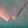Clairefontaine Karte gef GdP 135x135 KorallPuder