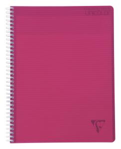 Clairefontaine Linicolor Meeting Book A4+ 80bl rt