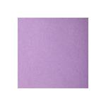 Clairefontaine 250 Bg Etiv Color PARMA 160G 50X65