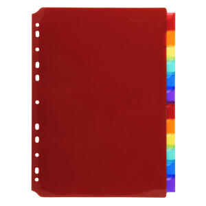 Exacompta Register m perso. Tabs 12tlg A4 PP