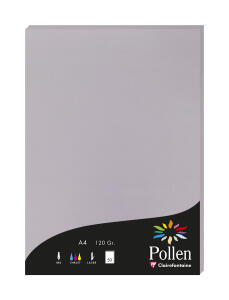 Clairefontaine Papier A4 Pollen 120g koalagrau 50Bl