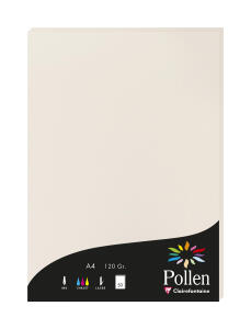 Clairefontaine Papier A4 Pollen 120g hellgrau 50Bl