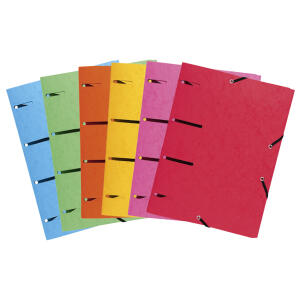 Exacompta Aktenmappe GZ Punchy+ 375g sort