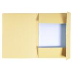 Exacompta AM A4 Folio 3Kl 280g Forever sand