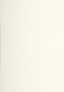 Lalo Strohpapier A4 120g 20Bl
