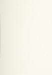 Lalo Strohpapier A4 120g 20Bl 3140290474161