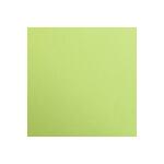Clairefontaine Fotokarton A2 25Bl 270g Lindgrün