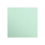 Clairefontaine Fotokarton A2 25Bl 270g Minze
