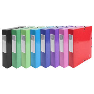 Exacompta Archivbox Iderama 60mm st