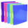 Exacompta Ringbuch Iderama A4 2R 30mm PP st