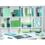 Exacompta Sammelmappe Iderama A4+ mE Sw