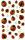 Maildor Stickers Cooky Käfer 7,5x12 1Bg