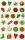 Maildor Stickers Cooky Adventzahlen 7,5x12 1Bg