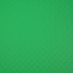 Exacompta Archivbox mE 25mm PP 0,8mm h-gn