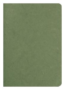 Clairefontaine Heft AgeBag A5 Leinen bl 48Bl grün