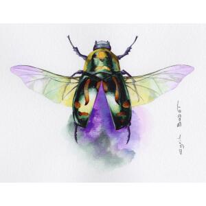 Clairefontaine Aquarellpap Etival 50x76 300g 10Bg