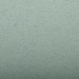 Clairefontaine Ingres 50x65 130g wassergrün 25Bg