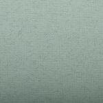 Clairefontaine Ingres 50x65 130g wassergrün 25Bg
