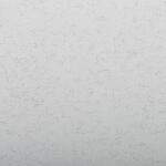 Clairefontaine Ingres 50x65 130g hellgrau 25Bg