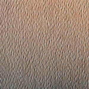 Clairefontaine Zeichenpapier 50x65 160g Lachs 24Bg