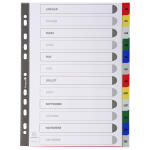 Exacompta RegistA4 Monat PP farb+registerseit