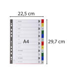 Exacompta RegistA4 Monat PP farb+registerseit