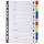Exacompta RegistA4 Monat PP farb+registerseit