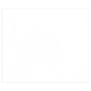 Clairefontaine 50Bl Tulipe  160g 50x65 weiß